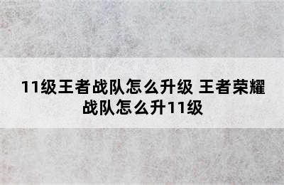 11级王者战队怎么升级 王者荣耀战队怎么升11级